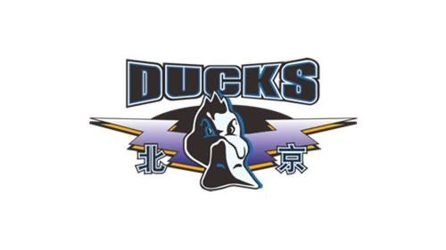 🏀北京vs南京前瞻：周琦恐继续缺席，北京力争终结2连败